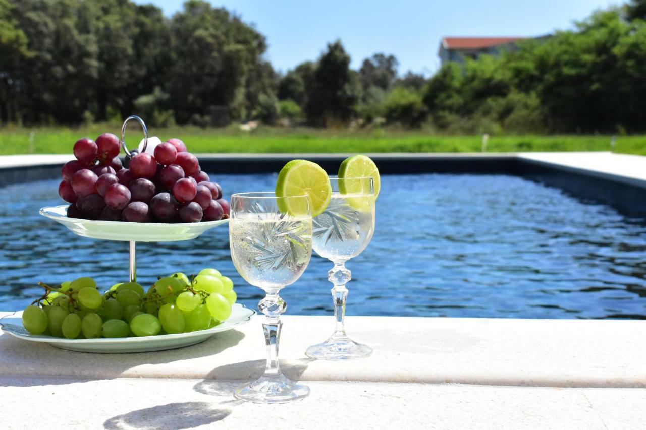 Apartments Vesna Zaton  Dış mekan fotoğraf