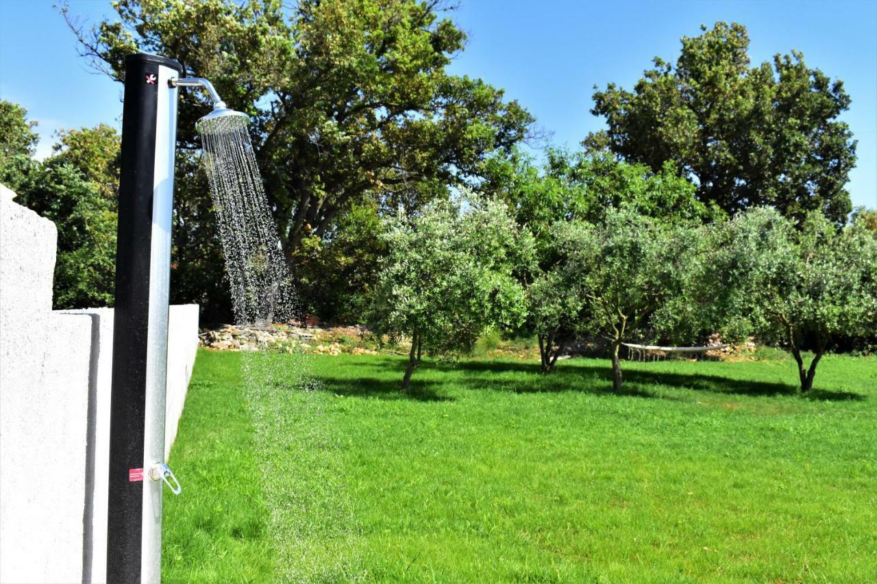 Apartments Vesna Zaton  Dış mekan fotoğraf