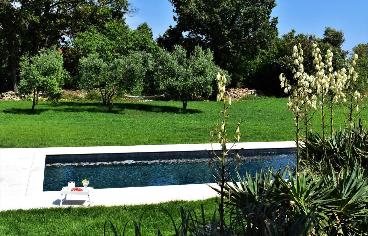 Apartments Vesna Zaton  Dış mekan fotoğraf